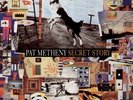Metheny Pat, Secret Story, rare DoLP
