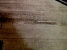 Israeli Synth Drama Samples LP - Loops/Listen - ALC/Sid Roams/Brutal Music Style