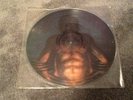 Tool Cesaro Summability 12 Inch Promo Picture Disc, Sealed