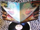 STRING DRIVEN THING- CHARISMA  CAS 1070 -1973 -  -DISCHI VINILE 33 GIRI 12