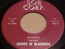 Sweet Monster Soul  45  