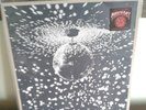 Neil Young Mirror Ball Vinyl LP Double Album with Pearl Jam 1995 Original German