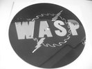 WASP    animal    live   7