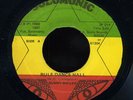 Bunny Wailer - Rule Dance Hall JA 7