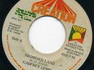 GADFREY LEWIS   PROMISED LAND   ONE AWAY ROOTS LISTEN