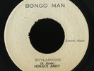 Reggae 45   Horace Andy   Skylarking   Bongo Man   classic mp3
