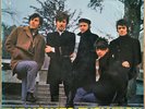 The Hollies - EVOLUTION  -  Top Zustand