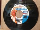the Soul In-pressions 70s soul 45 Girl Don't Worry/Zing on Aquarius EX