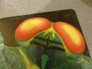 Catapilla LP Changes UK Vertigo swirl 1st press SUPERB VINYL Mint Head Not