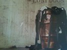 Pearl Jam Lost Dogs 3LP Vinyl Record NM