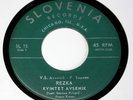 AVSENIK SLOVENIAN POLKA 45rpm RECORD LP 