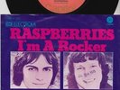 RASPBERRIES * 1973 POWER POP GLAM * German 45 * Hear it