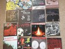 Pop Punk Vinyl The Wonder Years New Found Glory Tigers Jaw H2O Flogging Molly