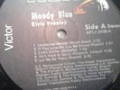 Elvis moody blue