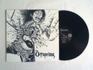 The Offspring 12