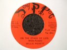 NORTHERN - WILLIE PICKETT - ON THE STAGE OF LIFE - SOUL SPOT - LISTEN