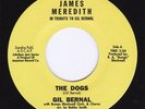 Gil Bernal - Dogs 7