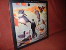 The Notwist - The Devil, You + Me LP original verschweisst / Sealed Console