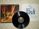 ECHO AND THE BUNNYMEN CROCODILES LP SIGNED