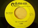 60s CHICAGO GARAGE--CAVE DWELLERS--YOU KNOW WHY / RUN AROUND--JIM-KO--BFTG