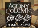 AGONY COLUMN - Comes Alive - BIG CHIEF Records (promo only 12