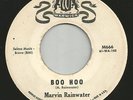 Marvin Rainwater - I Can't Forget / Boo Hoo - Link Wray - Rockabilly - Warwick