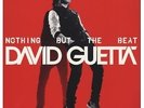 David Guetta - Nothing But the Beat   2LPNEU