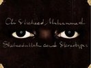 Ali Shaheed Muhammad - Shaheedullah And Stereotypes Album 2LP (12