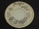 Sweet Charles Hang Out & Hustle PROMO 45 7