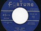 Diablos-You Are-Fortune Doo Wop 45 