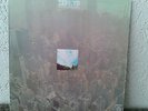 Zephyr Going BACK To Colorado Org German Press LP
