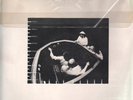 LP:Captain Beefheart And The Magic Band,Clear Spot(PVC CLEAR COVER) (Reprise Re)