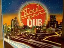 JUNIOR SOUL -  SOUL MAN DUB VERY RARE ORIG BURNING VIBRATIONS LP