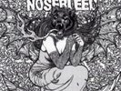 Agoraphobic Nosebleed/Insect Warfare 