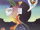 NICK DRAKE PINK MOON [Includes Digital Download Card] [VINYL]