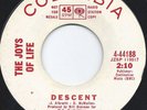 THE JOYS OF LIFE Descent COLUMBIA PROMO 45 Garage Psych