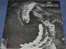 GROUNDHOGS Split SCARCE Orig UK 71 EX LP - SUPERB SOUND.