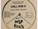 RANDOM RAP CHILL ROB G Court Is Now In Session REMIX