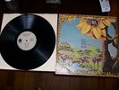 record Rare blues-rock album 'Black cat bones' -'Barbed Wire Sandwich' PIP 6809