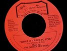 RARE MODERN SOUL The Chosen Few Band BR 45 What it takes to Live
