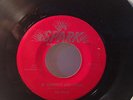 The Robins If Teardrops Were Kisses Whadaya Want SPARK VG RARE DOO WOP 45 HEAR*