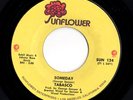 Crossover Soul 45 TABASCO Someday/Summer Fun Sunflower HEAR Rare