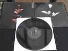 DEPECHE MODE VIOLATOR 12