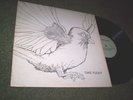 HOLY GRAIL PRIVATE PRESS FOLK PYSCH LP TAKE FLIGHT POKORA ACID ARCHIVES LISTEN