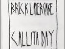 Brick Layer Cake - call it a day LP rare shellac 1992 mint