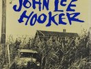 JOHN LEE HOOKER • THE COUNTRY BLUES • 1959 DG LP RIVERSIDE 12-838   MINT