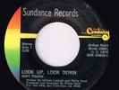 Soft Touch-Look Up, Look Down/Plenty Action-Soft Soul/Funk 45 on Sundance