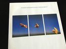 Rainer Brüninghaus - Freigeweht (ECM 1187 Vinyl LP)