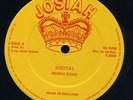 Bionic Echo - Digital UK orig 12