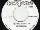 Heptones - How Could You Leave (My Guiding Star) - KILLER